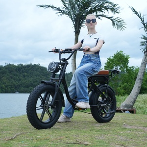 Vélo électrique à pneus larges de 20 pouces, moteur 1000W, batterie au lithium 48V15Ah, tout-terrain, hors <span class=keywords><strong>route</strong></span>, pour le Brésil et l'Australie - Product Image 2