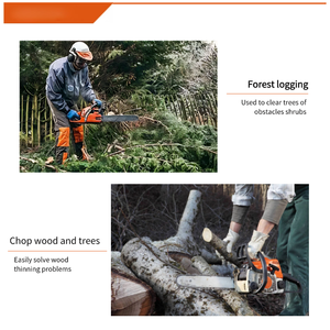 Motosega Elettrica Portatile Dual-Mode AC/DC per Giardinaggio, Utensile <span class=keywords><strong>a</strong></span> Batteria di Grado Industriale per Giardinaggio CE - Product Image 6