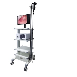 Offre Spéciale : Système d'Endoscopie Vétérinaire DMNK06 Personnalisé sur Chariot pour Cliniques Vétérinaires - Product Image 1