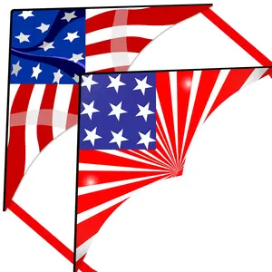 New Arrival Custom Made American Independence Day Red and Blue Star Flag Delta Kite for Sale