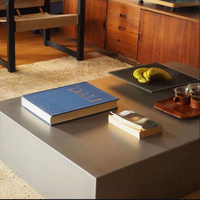 Table basse de salon moderne et minimaliste de style Bauhaus, en acier inoxydable durable et écologique, haut de gamme, pour les influenceurs
