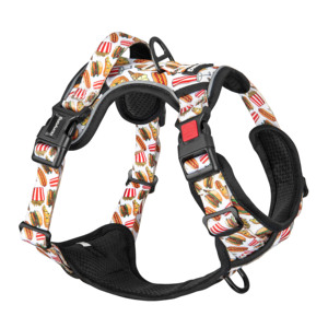 Kalung Hewan Peliharaan Tali Kekang Kuat Tahan Aus Nilon Multi Warna Kualitas Tinggi - Product Image 6