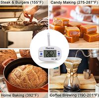 Termometer Digital LCD untuk makanan, alat pengukur suhu dapur coklat daging BBQ