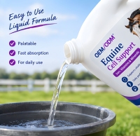 Complément Nutritionnel Liquide pour Chevaux ODM - Mélange de Fer et de Multivitamines Minérales pour les Soins Quotidiens des Équidés