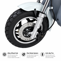 Tricycle électrique motorisé 48V 500W, scooter électrique à 3 roues, 2 places, panier de rangement, autonomie 30-50 km, carrosserie ouverte, adulte, personne âgée