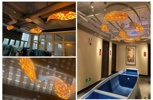 JYLIGHTING İç Mekan Ahşap Balık LED Avize Sarkıt Lamba Ayarlanabilir Yükseklik Özelleştirilmiş Wabi Sabi Projesi Büyük Otel Lobisi - Product Image 3