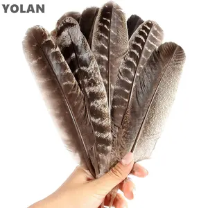 En vrac 6-8 pouces 50pcs Naturel Barré Sauvage Dinde Aile Plumes Quill pour DIY Artisanat Costume De Mariage Corsage Guirlande Décoration de La Maison