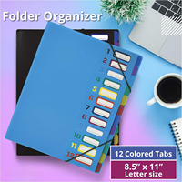 Carpeta de Archivos Expandible con 24 Bolsillos Transparentes y 12 Pestañas de Colores, Tamaño Carta, Capacidad para 300 Hojas, Organizador de Archivos para Proyectos