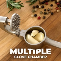 Professionele zware knoflookpers van zinklegering, meerkleurig metalen knoflookpers met ergonomische handgreep, roestvrij knoflookknijper