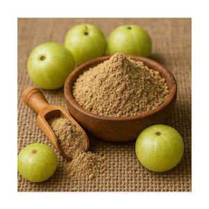 Polvo de Extracto de Fruta de Amla Ultrafino, Emblica Officinalis, Polvo Herbal Botánico Puro para Aplicaciones de Fabricación Industrial - Product Image 2