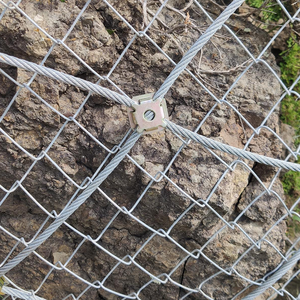 Passive <span class=keywords><strong>Rock</strong></span> Fall Protection <span class=keywords><strong>Netting</strong></span> Erdrutsch schutz Grass Geomat Woven Road Edge Stein draht <span class=keywords><strong>Mesh</strong></span> Sechseckig für Erosion - Product Image 2