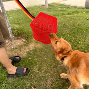 Küçük Köpekler İçin İnteraktif Yırtılmaz Çanta Oyuncak, Çiğneme, Getirme Eğitimi, Diş Çıkarma Oyunu, Orta Boy Yavru Köpekler İçin - Product Image 5