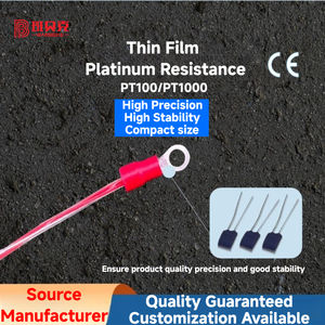 4Mm Roestvrijstalen Sonde Met Crimp Ring Terminal Thermische Weerstand Pt100/Pt1000 Rtd Temperatuur Sensor Instrument - Product Image 5