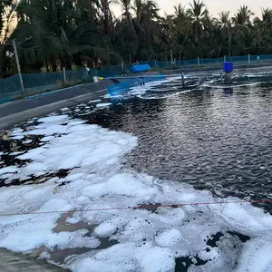 Tubo AERAT direttamente fornire acqua a gravità tubo di allevamento di pesce tubo di aerazione griglia piscina