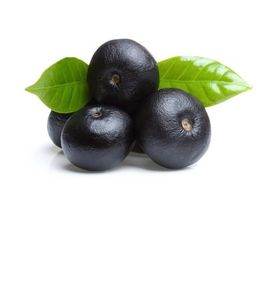 Kualitas Terbaik murni alami terlaris ekstrak Berry Brasil bubuk beri Brasil - Product Image 3