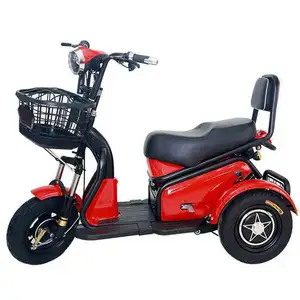 Người Lớn 3 Bánh Xe Điện Trike/Pin Lithium Điện Cargo Ba Bánh/Điện Ba Bánh