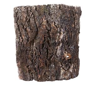 ท่อเปลือกแชมเปญโปรตุเกสธรรมชาติเป็นมิตรต่อสิ่งแวดล้อมสำหรับสัตว์เลี้ยงปีนเขาหลุมหนีออกจากบ้านในป่าฝนตกแต่งพื้นหลังของถัง - Product Image 1