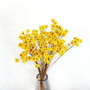 Ramos de Margaritas Secas Brasileñas Pequeñas, Naturales y Preservadas, para Decoración Boho, Aromatizantes, Accesorios para Fotos de Boda, Paquete al por Mayor, Kits DIY - Product Image 5