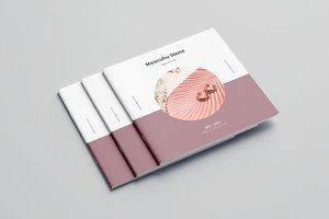 Services d'impression personnalisés haut de gamme pour brochures, dépliants et manuels d'instructions à des prix abordables - Product Image 2