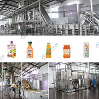 Kosteneffectieve Perzik/Abrikoos/Pruim/Avocado Pulp Puree Extractor Machine Vruchtensap Concentraat Productielijn