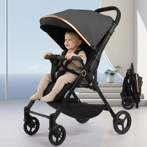 Passeggino Portatile Pieghevole di Lusso 3-in-1 Md Q1 con Telaio in Acciaio, Multifunzione, Capacità di Carico 20KG, Ampio Spazio di Stoccaggio - Product Image 1