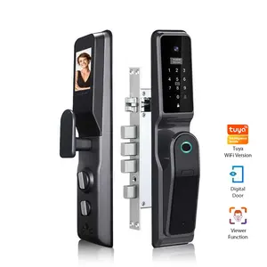 Kunci Pintu Pintar Kartu IC Wajah/Sidik Jari/Telapak Tangan dan Kata Sandi dengan TUYA WIFI atau Kunci TT APP Viewer Vision Digital dengan Kamera
