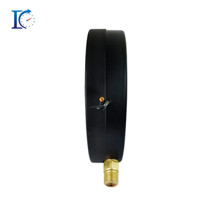 대형 다이얼 정확도 1.6% 직경 200mm 탄소강 황동 연결 IP54 보호 압력 게이지 0-600 바 범위 - Product Image 4