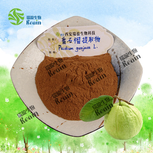 Extracto de Guayaba al por Mayor, Extracto de Psidium Guajava L, Extracto de Psidium Guajava 10:1, Extracto de Hoja de Guayaba - Product Image 2