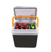 EVERCOOL Grande poignée Gris 24 Litres 12v Mini réfrigérateur compact rétro pour boissons Boîte de réfrigérateur de voiture
