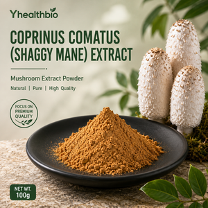 Extracto de Hongo Shaggy Mane en Polvo Premium, <span class=keywords><strong>Coprinus</strong></span> <span class=keywords><strong>Comatus</strong></span>, Extracto Concentrado en Polvo para Fabricación de Marca Privada - Product Image 4