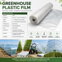 5-laags co-extrusie UV-bestendige LDPE kasfolie 80mic-250mic met op maat gemaakte snijservice, merk HXQ, oorsprong Fujian