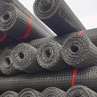 HDPE Heavy-Duty Tuinhekwerk van gaas 3mm Buitenhek voor groenteveld en boomgaard Plastic Geogrid