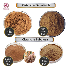 30% Echinacoside 12% extrait d'acteoside Cistanche Tubulosa suppléments naturels pour boissons énergétiques - Product Image 3