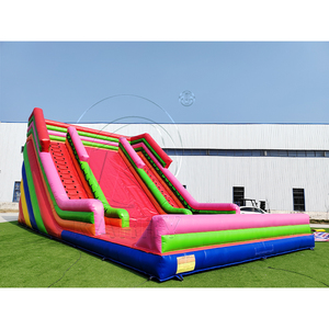 Château gonflable commercial avec toboggan combiné et mur d'escalade, toboggans géants gonflables commerciaux à vendre avec deux échelles - Product Image 3