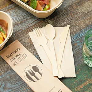Biodegradable Disposable Bamboo Cutlery Knife Fork Spoon Travel Set with Airplane Box Package Bamboo Cutlery Travel