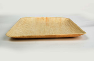 จานใบปาล์มขนาด 9 นิ้ว รูปทรงสี่เหลี่ยม เป็นมิตรกับสิ่งแวดล้อม ย่อยสลายได้ ผลิตจากใบปาล์ม จำหน่ายส่งจากอินเดีย - Product Image 3