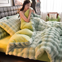 2025 vente en gros vente chaude vison velours 4 pièces ensemble Faux lapin velours ensemble de literie épaissir couverture moelleux en peluche chaud housse de couette
