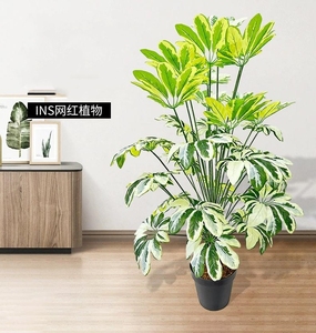 Planta verde en maceta <span class=keywords><strong>de</strong></span> plástico imitación bonsái árbol <span class=keywords><strong>Schefflera</strong></span> grande artificial al por mayor para la decoración del balcón del piso <span class=keywords><strong>de</strong></span> la Oficina <span class=keywords><strong>de</strong></span> la sala <span class=keywords><strong>de</strong></span> estar - Product Image 5