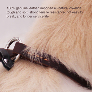 Collar y correa de cuero ajustable para perro correa de perro de plomo antideslizante suave - Product Image 6