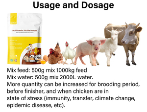 Gia cầm vitamin bổ sung vitboo thức ăn phụ gia ad3e premix thức ăn cho thịt gà vỗ béo Amino Thức Ăn Nhà máy bán buôn - Product Image 6