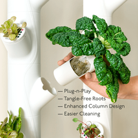 Kit de jardinage hydroponique vertical d'intérieur pour herbes et légumes non-OGM, grands bacs en acier, lampes de culture LED, herbes et légumes non-OGM