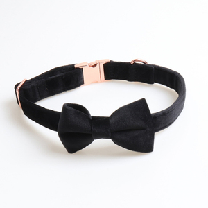 <span class=keywords><strong>Collier</strong></span> pour chien en velours à boucle métallique réglable, à libération rapide, personnalisable, tendance, couleur unie, vente en gros de Chine, faible MOQ - Product Image 2