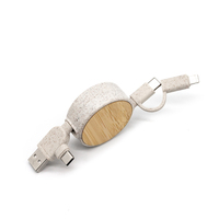 Prêt à expédier Paille de blé Décoration de qualité parfaite Chargeur de données multifonction pour Iphone