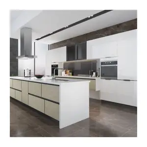 Ace Kitchen Cabinet Accessories Modern Designs Complete Sets Kitchen Cabinet Make Modern High Gloss Lacquer Kitchen Cabinet