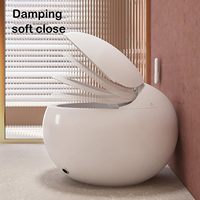 WC intelligent de luxe avec siège chauffant, séchage à l'air, télécommande incluse, siphon en S, montage au sol, monobloc, cuvette en céramique blanche, confort