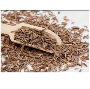 Cumin Seeds Premium Quality Whole Natural Farm Fresh Raw Cumin Spice Export Grade Cooking Ingredient Wholesale Supply Daily Use - Product Image 1