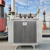 Transformateur de distribution de puissance triphasé à double enroulement série S13, niveau 10 kV, pour les entreprises et les zones à forte teneur en poussière