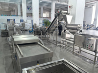 Automatische tomatenpuree productielijn 500kg/uur, tomatensaus verwerkingsmachine met CE-certificering