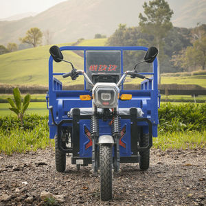 1.6m Heavy Duty En Acier Inoxydable Express Électrique Cargo Tricycle Ouvert Corps Scooter 60v Tension 1000-1200kg Charge Utile GCC Certifié - Product Image 1