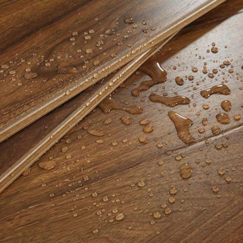 Waterproofing Services